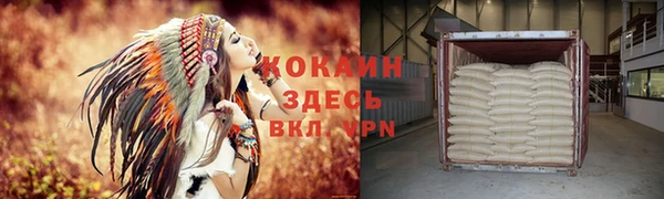 PSILOCYBIN Липки