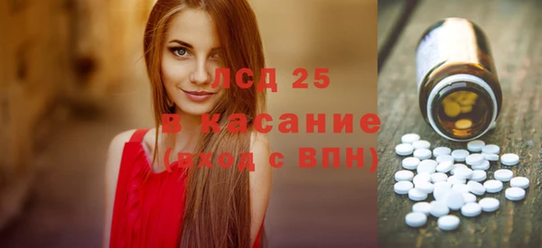 PSILOCYBIN Липки