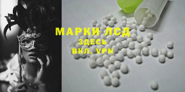 гашик Ладушкин