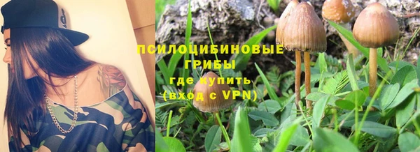 гашик Ладушкин